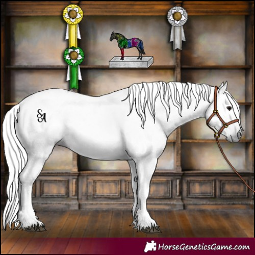 Horse Color:Gray Void Black 