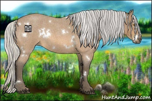 Horse Color:White Spotted Silver Buckskin Roan Rabicano