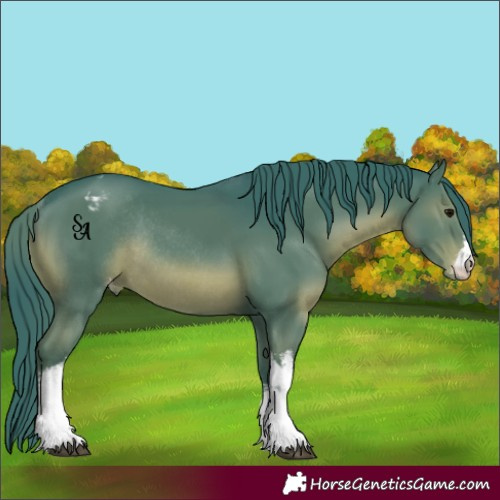 Horse Color:Watercolor White Spotted Black Mushroom Appaloosa Rabicano 