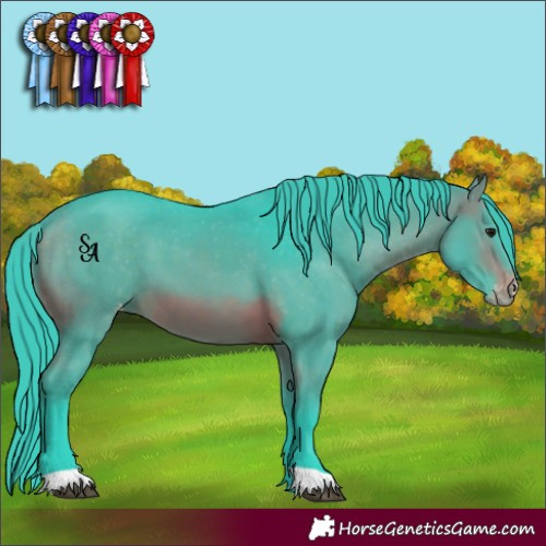 Horse Color:Watercolor Brown Appaloosa 