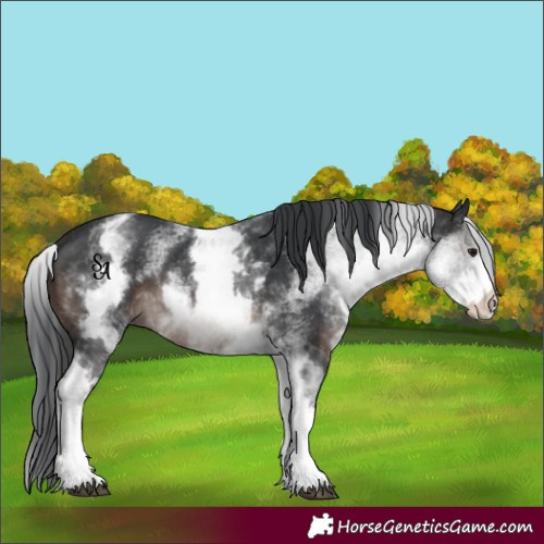 Horse Color:White Spotted Brown Mushroom 