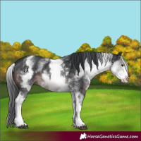 Horse Color:White Spotted Brown Mushroom 