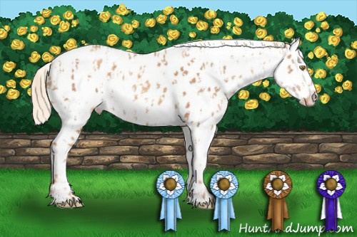 Horse Color:Gold Champagne Near Leopard  and Gold Champagne Pearl Near Leopard 