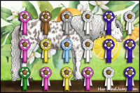 Horse Color:Silver Blue Roan Splash Appaloosa 