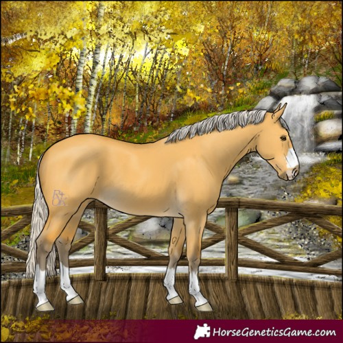 Horse Color:Silver Buckskin Dun 