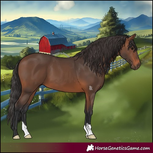 Horse Color:Brown 