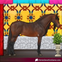 Horse Color:Brown 