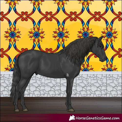 Horse Color:Black 