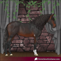 Horse Color:Brown 