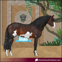 Horse Color:Brown Frame 