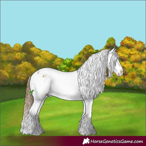 Horse Color:Brown Ice Onyx Sabino Splash Appaloosa 