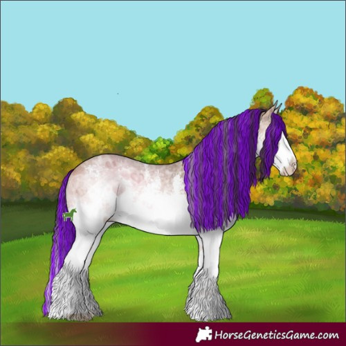 Horse Color:Painted White Spotted Bay Ice Sabino Splash 