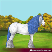 Horse Color:Watercolor White Spotted Grullo Ice Sabino Appaloosa 