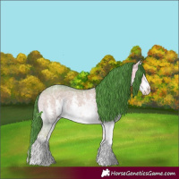 Horse Color:Watercolor White Spotted Bay Ice Onyx Sabino 