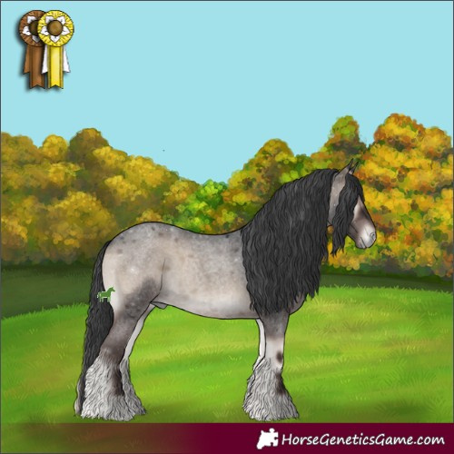 Horse Color:Blue Onyx Roan 