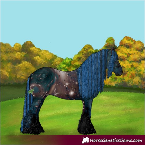 Horse Color:ERROR: UNKNOWN ANOMALY