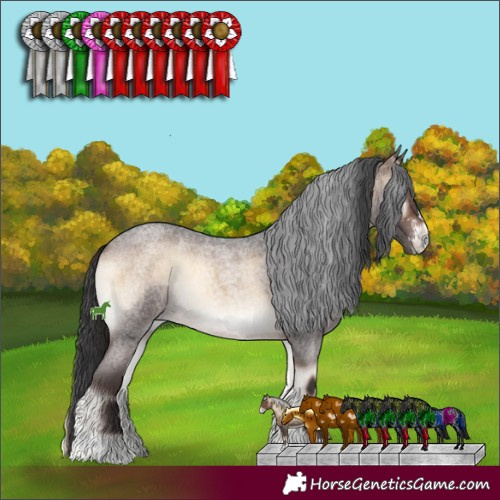 Horse Color:Brown Roan Onyx Sabino 