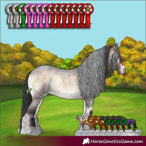 Horse Color:Brown Roan Onyx Sabino 