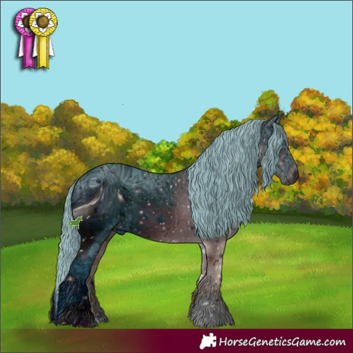 Horse Color:ERROR: UNKNOWN ANOMALY