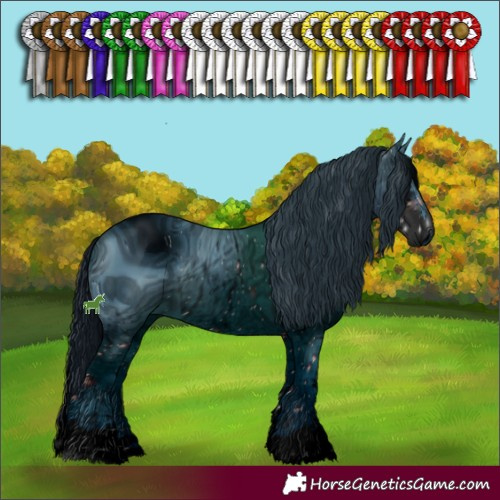 Horse Color:ERROR: UNKNOWN ANOMALY