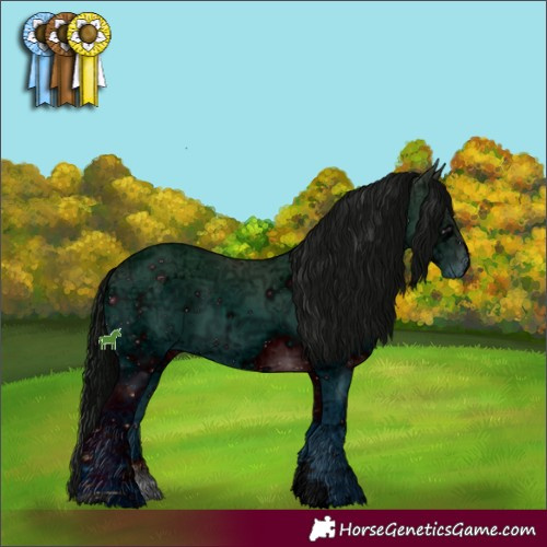 Horse Color:ERROR: UNKNOWN ANOMALY