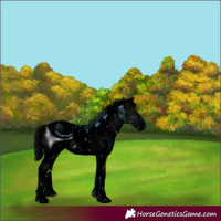 Horse Color:ERROR: UNKNOWN ANOMALY
