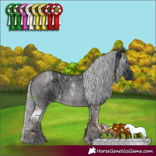 Horse Color:ERROR: UNKNOWN ANOMALY