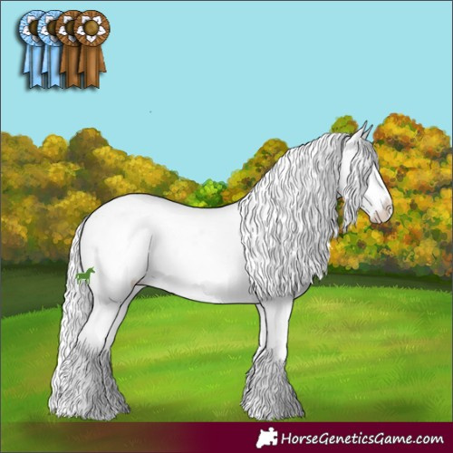 Horse Color:Liver Chestnut Chinchilla Sabino 