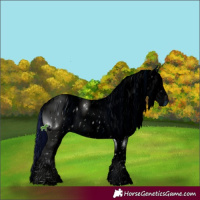 Horse Color:ERROR: UNKNOWN ANOMALY