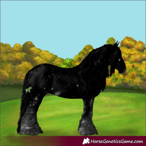 Horse Color:ERROR: UNKNOWN ANOMALY