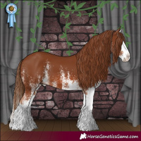 Horse Color:White Spotted Chestnut Splash
