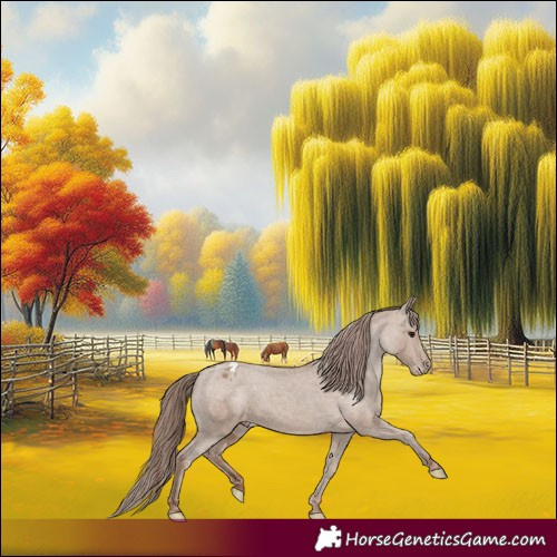 Horse Color:Classic Champagne Appaloosa 