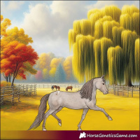 Horse Color:Classic Champagne Appaloosa 
