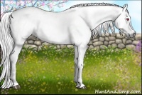 Horse Color:Liver Chestnut Chinchilla Sabino Tobiano Rabicano