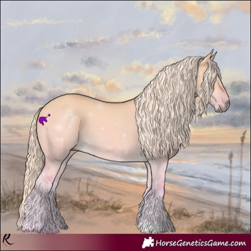 Horse Color:Watercolor Palomino Dun