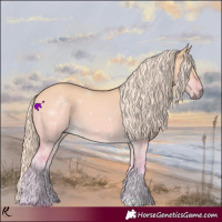 Horse Color:Watercolor Palomino Dun 