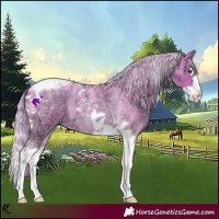 Horse Color:Silver Bay Ice Roan Dun Splash Tobiano 