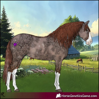 Horse Color:Red Dun Ice Splash 