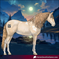 Horse Color:White Spotted Smoky Black Pearl