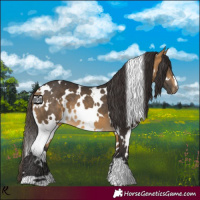 Horse Color:White Spotted Buckskin 