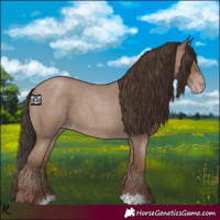 Horse Color:Classic Champagne Roan 