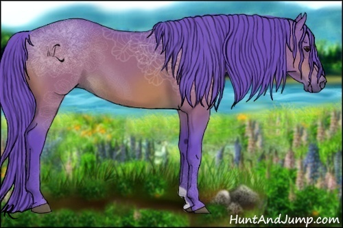 Horse Color:Watercolor Bay 