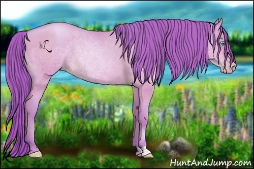 Horse Color:Watercolor Buckskin Pearl 