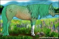 Horse Color:Watercolor Bay 