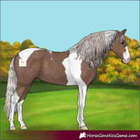 Horse Color:Silver Black Tobiano