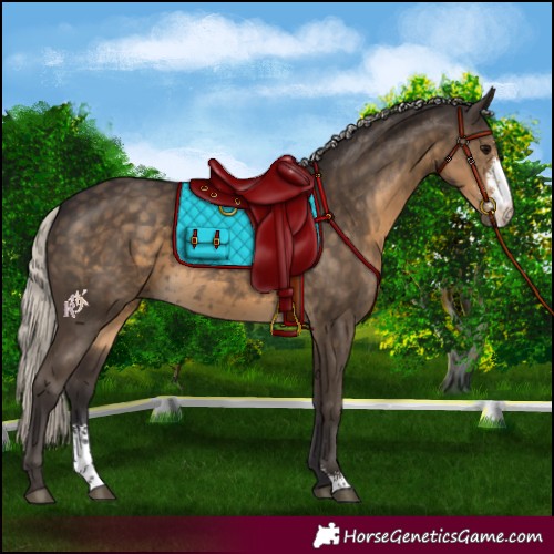 Horse Color:Silver Smoky Black Sabino 