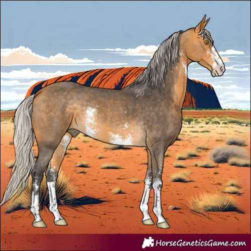 Horse Color:Silver Buckskin Sabino 