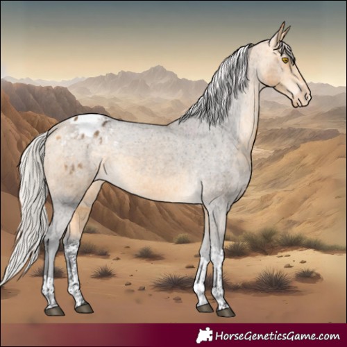 Horse Color:Silver Buckskin Sabino Tobiano Varnish 