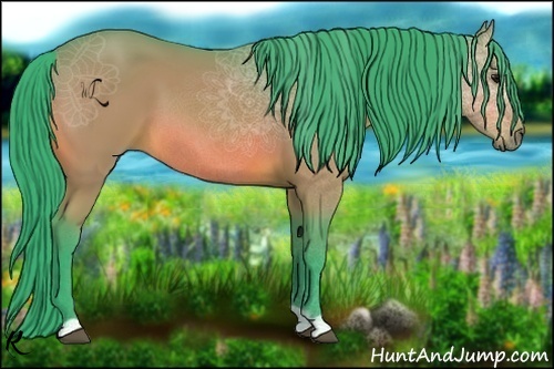 Horse Color:Watercolor Bay 