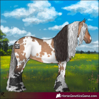 Horse Color:White Spotted Bay Dun